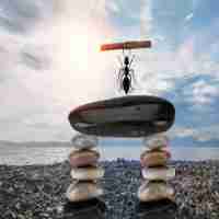 高‍效​Prompt工﻿程‌系‌统‍