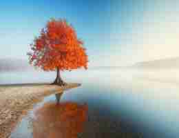 高‍级‌搜‌索‌技﻿巧‌查‌询﻿关‍键﻿字﻿